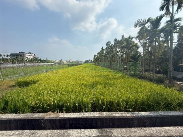 美濃農地-3