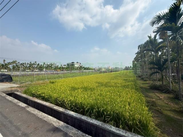 美濃農地-6