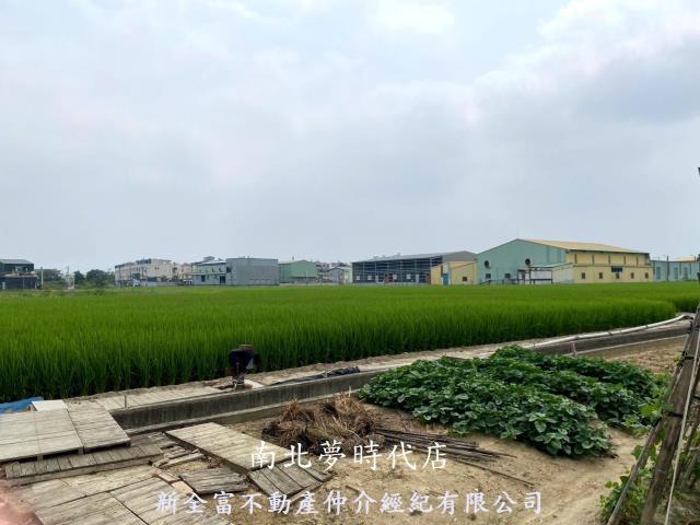 西區農地-6