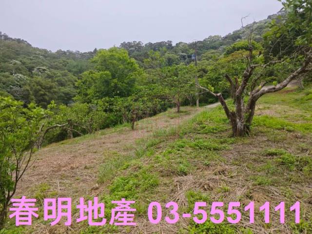 頭份農地-8