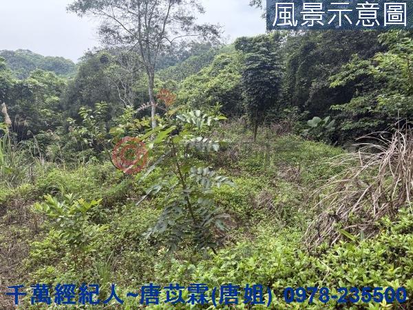 橫山山坡地-2