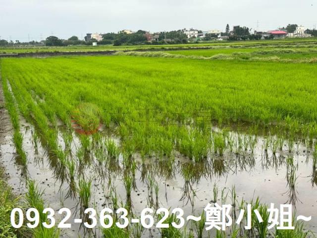 新屋農地-12