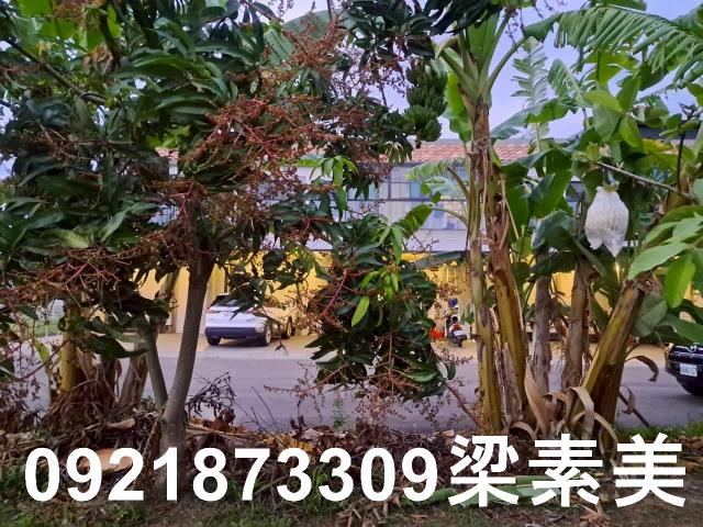 台南農地-1