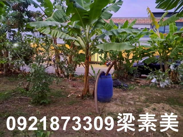 台南農地-4