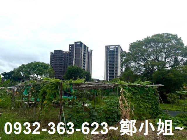 桃園農地-2