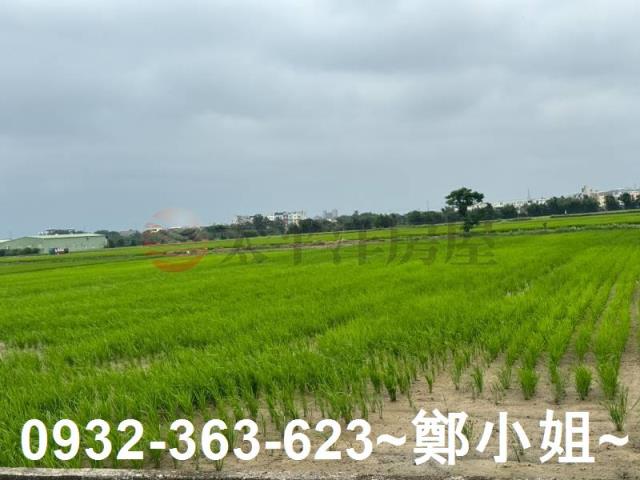 桃園新屋農地-15