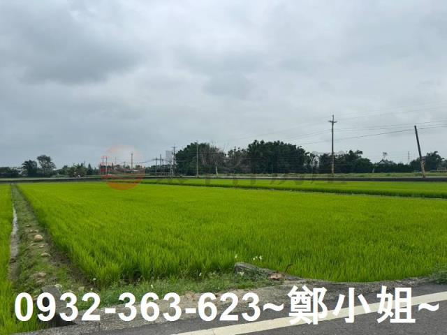 桃園新屋農地-3