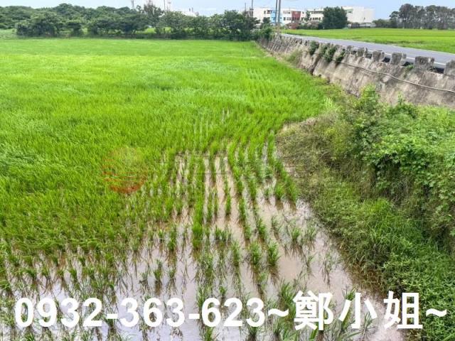 桃園新屋農地-9