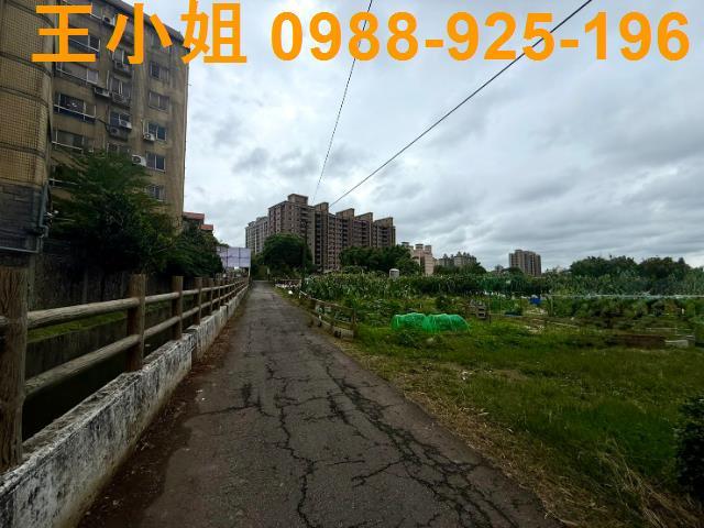 桃園桃園區農地-1
