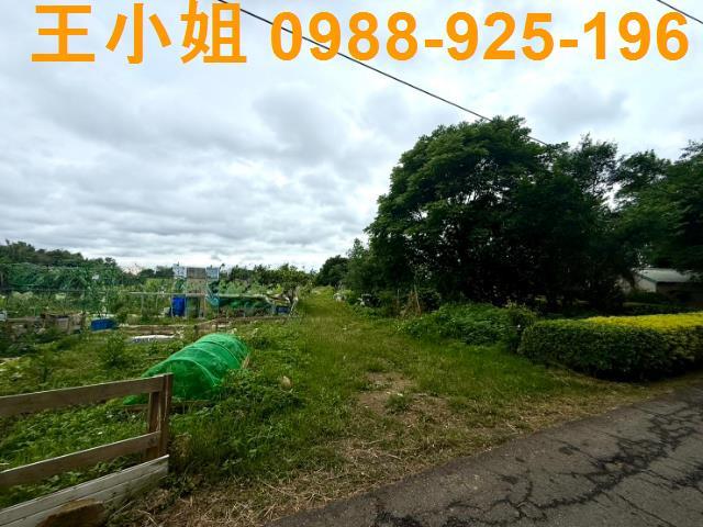 桃園桃園區農地-3