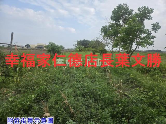 台南七股農地-2