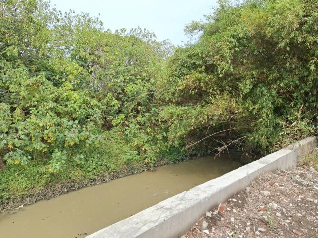 高雄路竹農地-14
