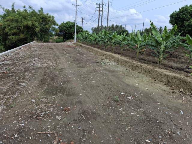 高雄路竹農地-10
