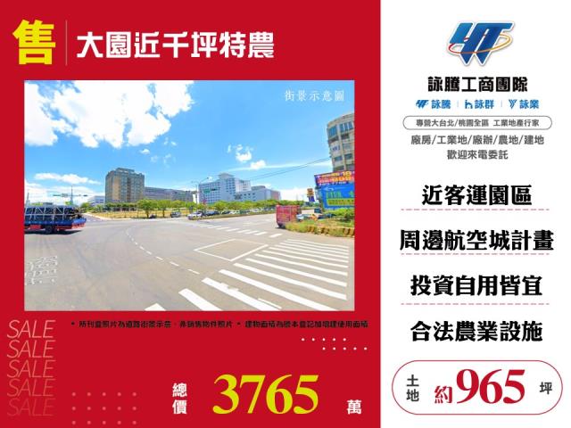 桃園大園農地-1