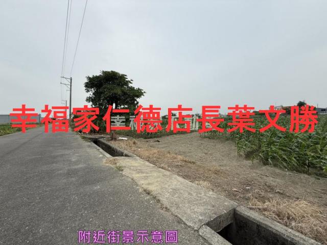 安定農地-2