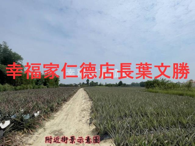 關廟農地-11