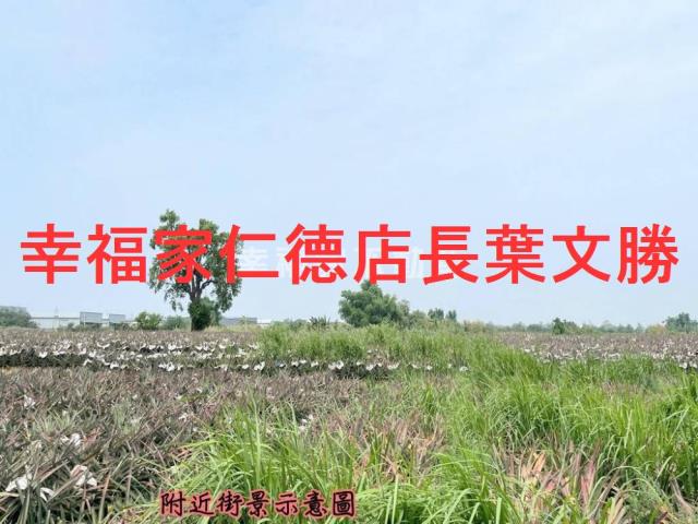 關廟農地-9