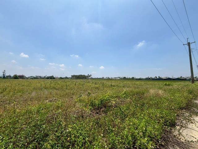 白河農地-6