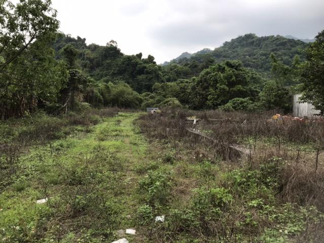 台中建地-14