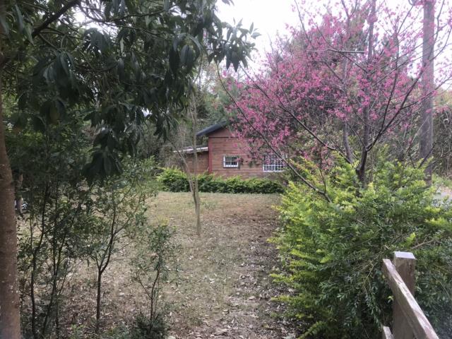 苗栗農地-5