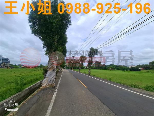 桃園農地-6
