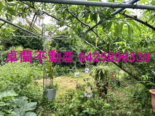 苗栗卓蘭農地-5