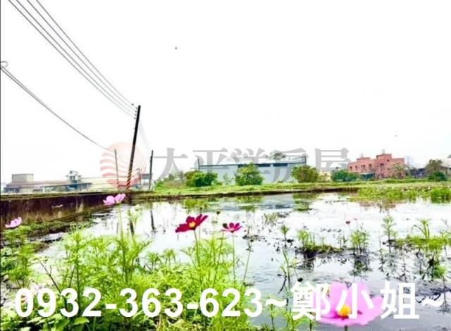 桃園蘆竹農地-4