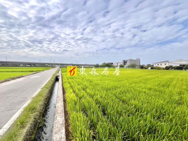 神岡農地-2