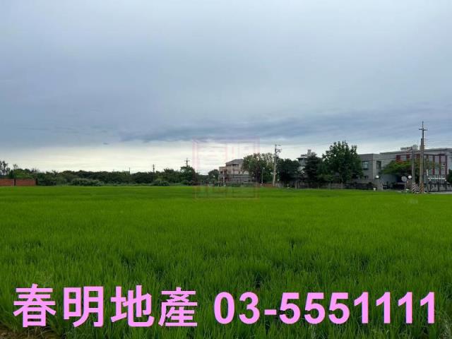 新豐農地-2