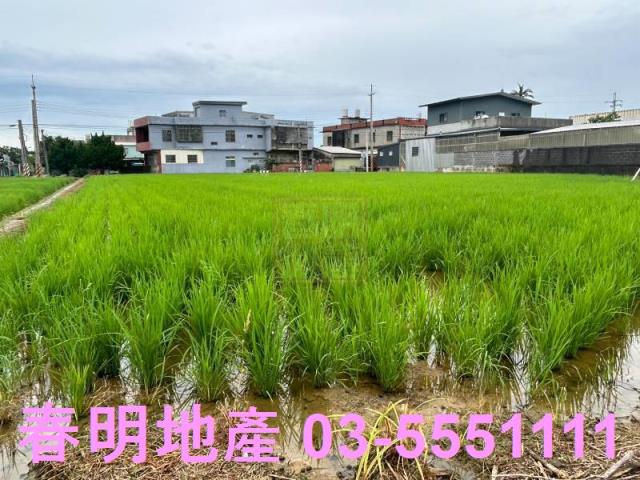 新豐農地-3