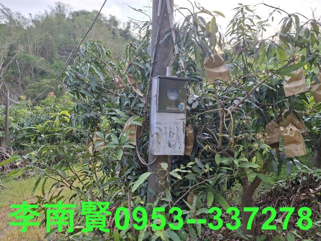 玉井農地-11