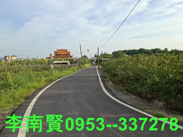 玉井農地-6