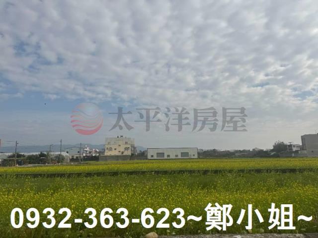 苑裡農地-3