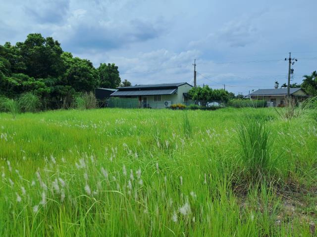 萬巒農地-9