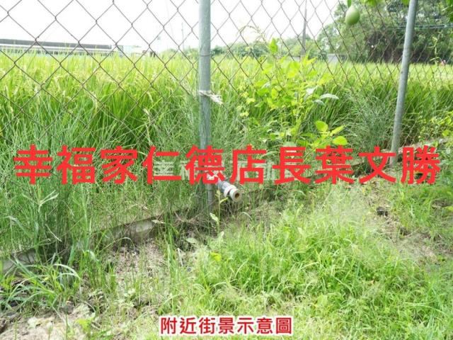 麻豆農地-11