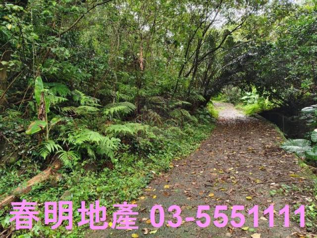 新竹芎林林地-4