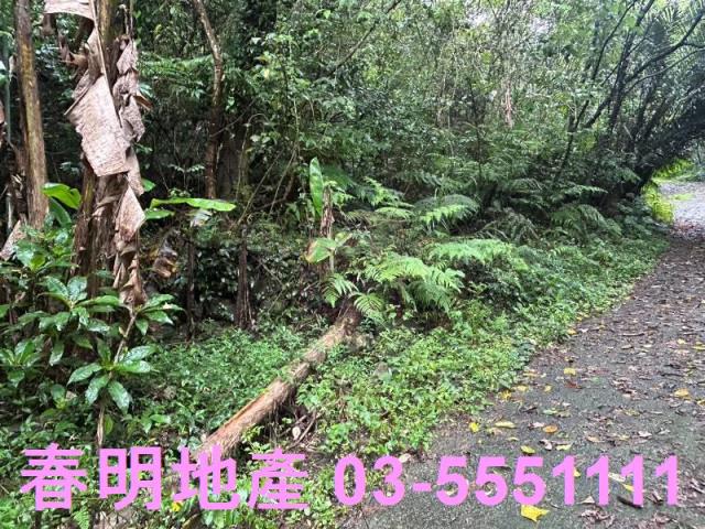 新竹芎林林地-7