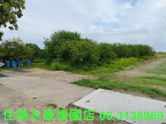 台南佳里農地-4