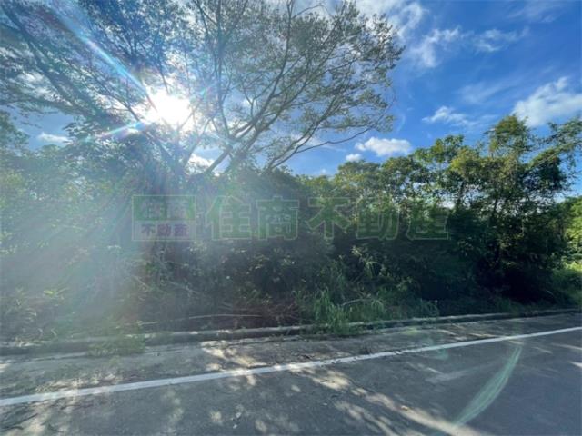 台南東山農地-7