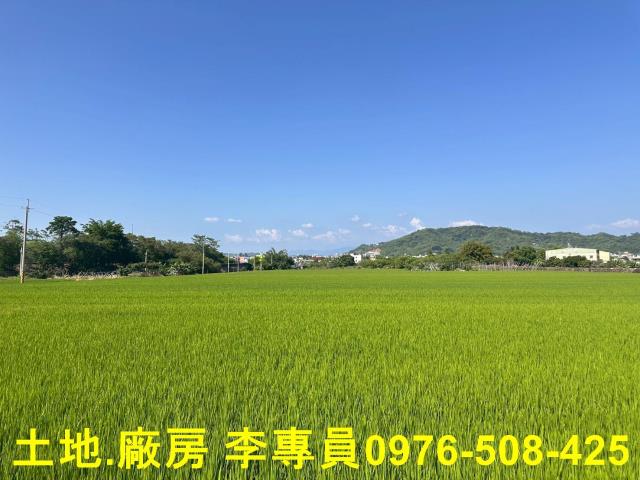 草屯農地-2