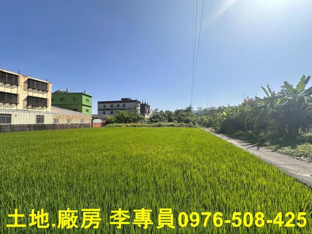 草屯農地-6