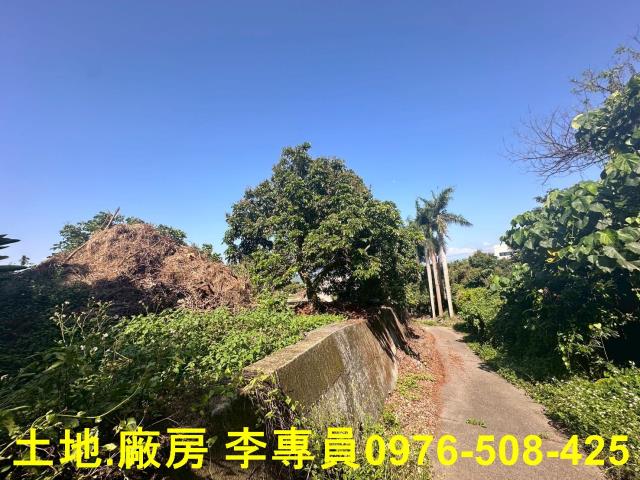 南投市農地-3