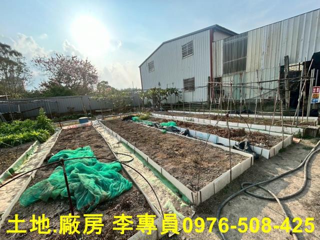 埔里農地-5