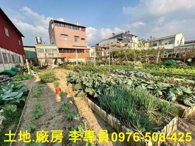 埔里農地-7