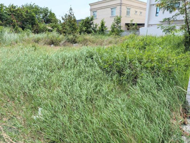 茄萣建地-3