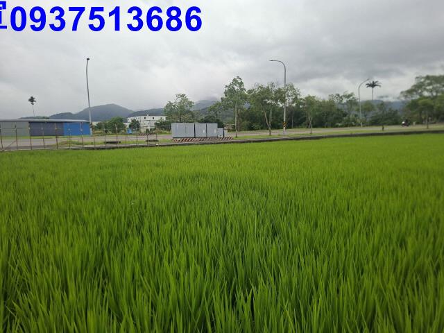 員山農地-2