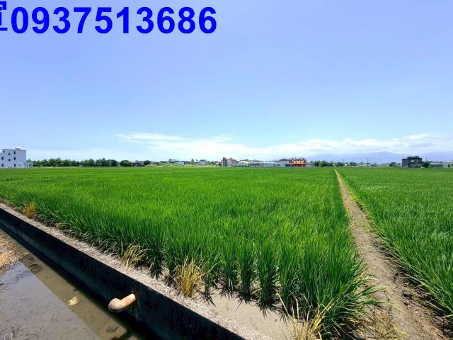 壯圍農地-2