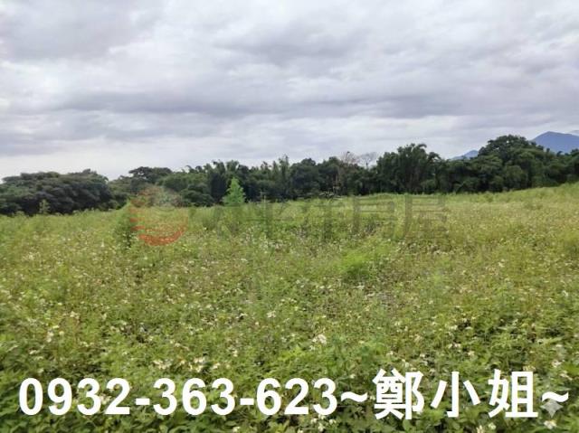 桃園農地-2