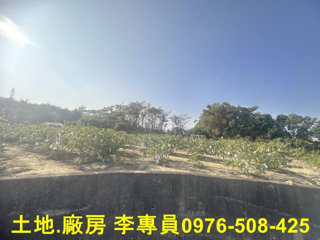 高雄農地-2