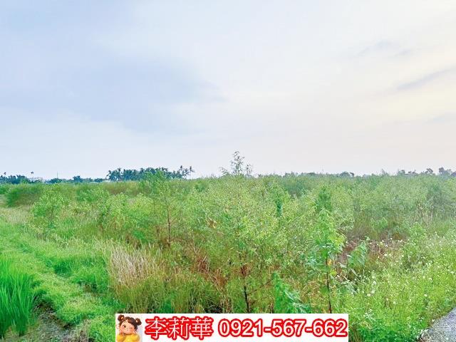 台南白河農地-9